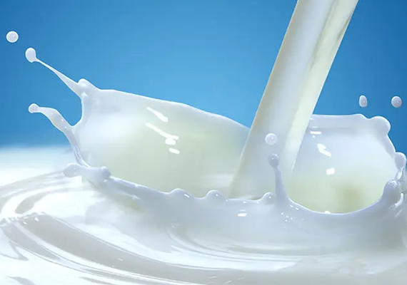El Bola Lima - ¿Quién quiere leche?